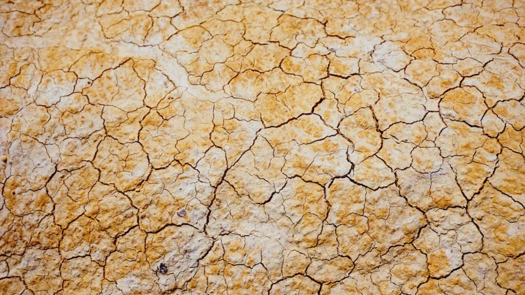 ESG new frontier in risk management