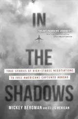 In the Shadows book cover