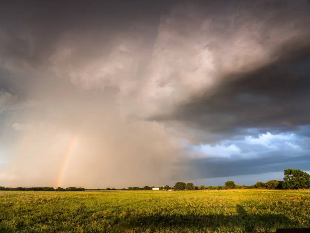economic storm recession-proof risk and resilience