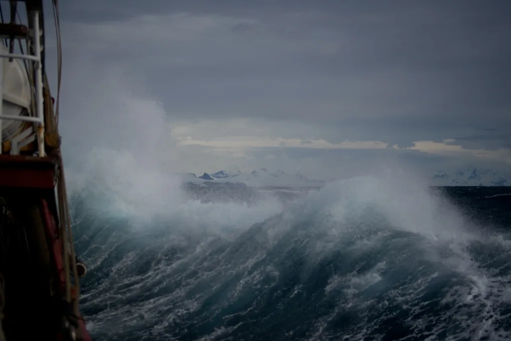 economic storm recession-proof risk and resilience