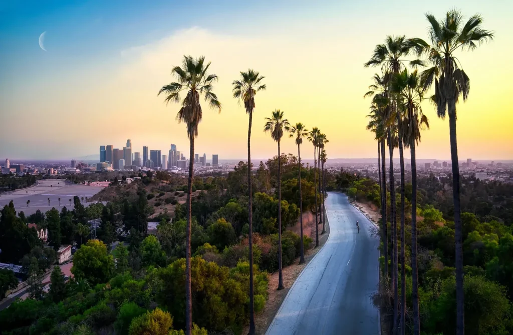 The Los Angeles skyline at sunset seen along a road lined with palms