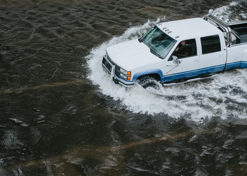 economic storm recession-proof risk and resilience